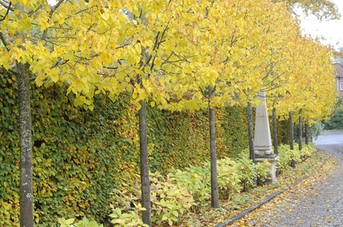 20111027_130258