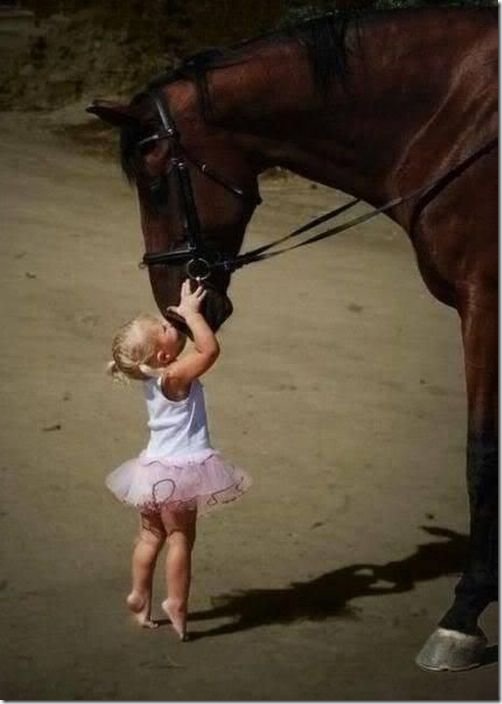 viral-picdump-pics-8b5a39
