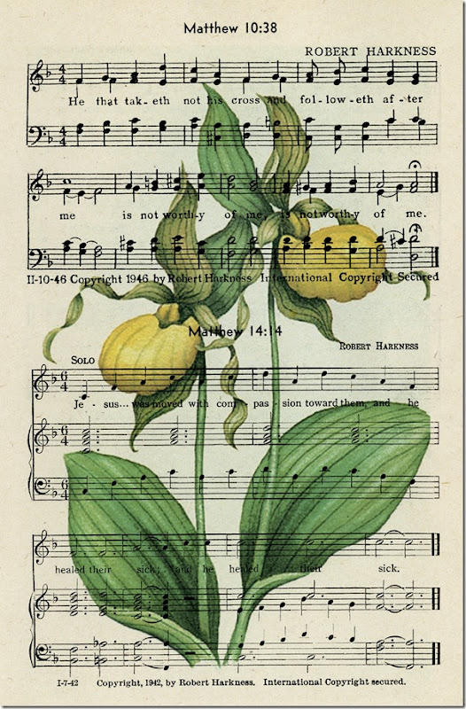 Ladyslipper on page