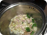 IMG_5306 IMG_5306
