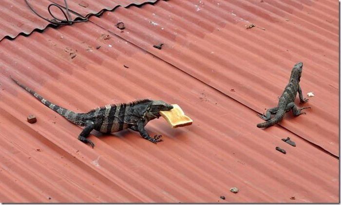 [imagenes%2520divertidas%2520%25285%2529%255B3%255D.jpg]