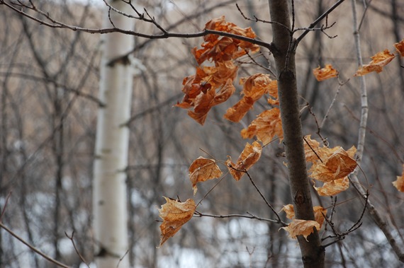 [DSC_0049%255B2%255D.jpg]