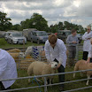 GLAShow 2012 022.jpg