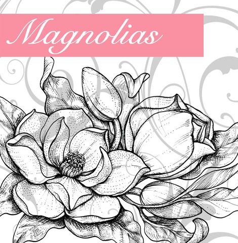 [Magnolias%252BGraphic%255B4%255D.jpg]