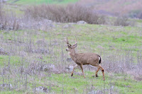 HBR_2012Dec28_013.jpg