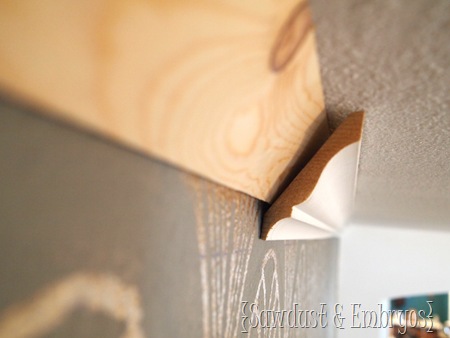 Crown Molding {Sawdust and Embryos}