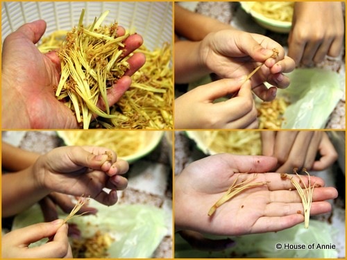 [Picking%2520pollen%2520off%2520durian%2520flowers%255B2%255D.jpg]