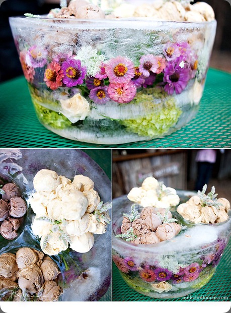 JanBrett35 frozen bowl to hold ice cream millie holloman photo JanBrett35 frozen bowl to hold ice cream millie holloman photo