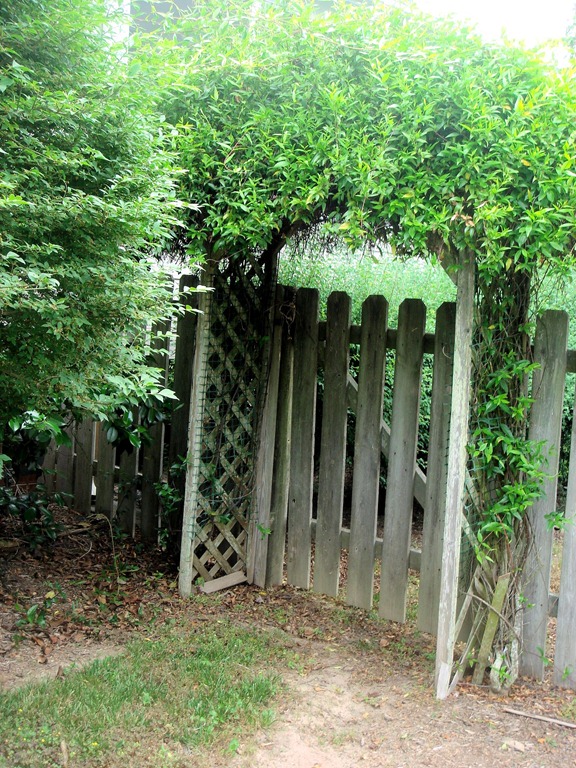 [garden-entrance3.jpg]