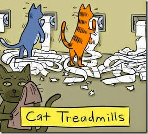 cats-on-treadmills-cartoon cats-on-treadmills-cartoon