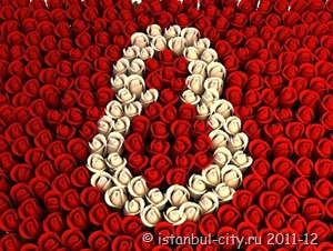 Деловая женщина в Турции: 8 марта есть не зря Деловая женщина в Турции: 8 марта есть не зря