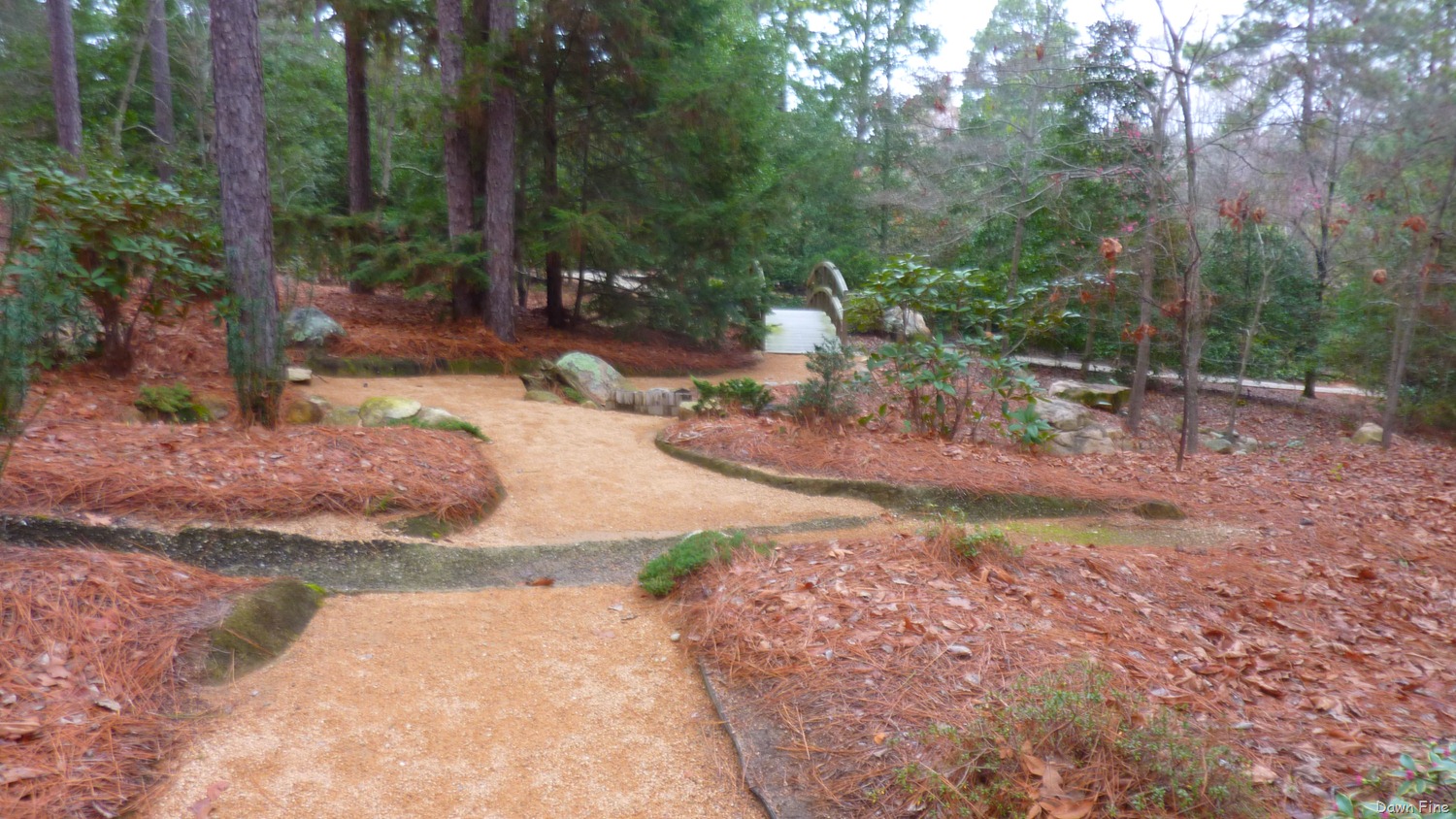 [Sandhill%2520Horticultural%2520Garden_030.jpg]