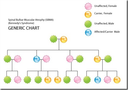 Genetic Chart Genetic Chart
