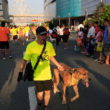 Pet Express Doggie Run 2012 Philippines. Jpg (121).JPG