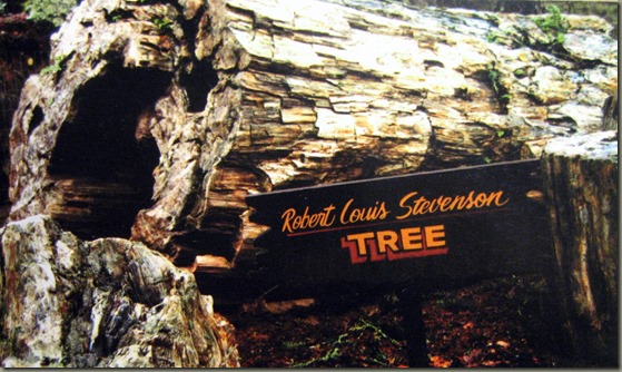 Robert Louis Stevenson Tree