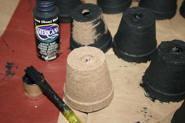 peat pots 001