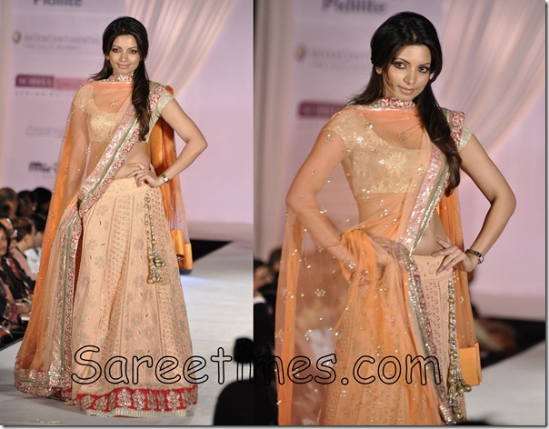 Designer_Shimmer_aree
