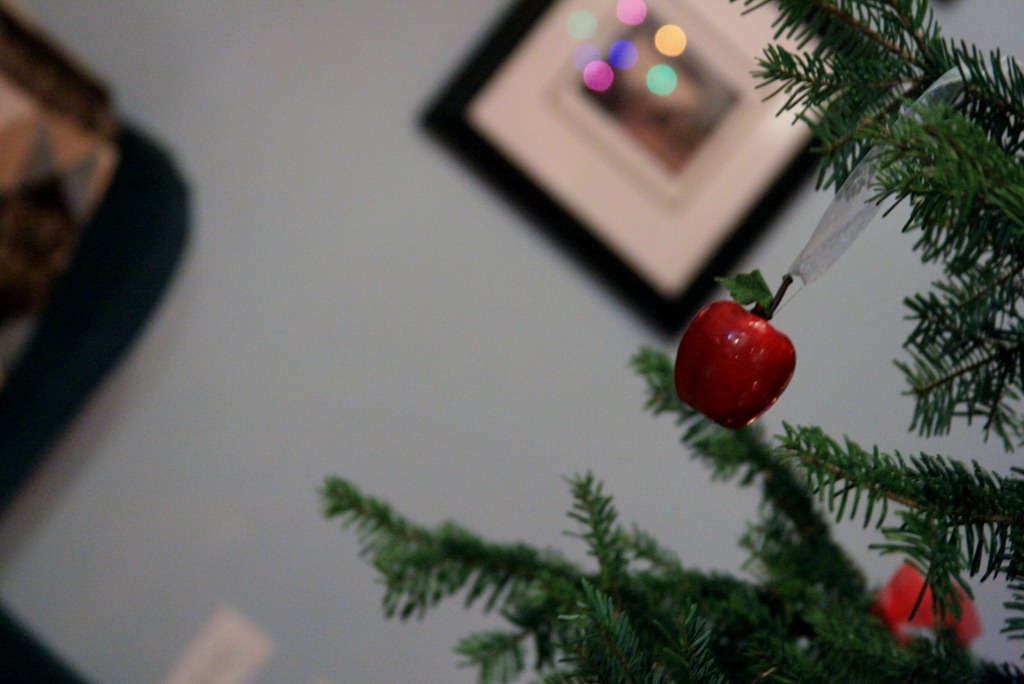 [christmas%25202011%2520006%2520%25282%2529%255B3%255D.jpg]