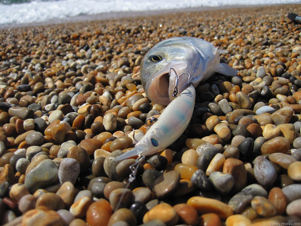 [IMG_1587%255B9%255D.jpg]