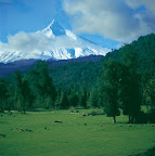 Sprachaufenthalt Chile
