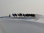 Snowy Desert Slideshow