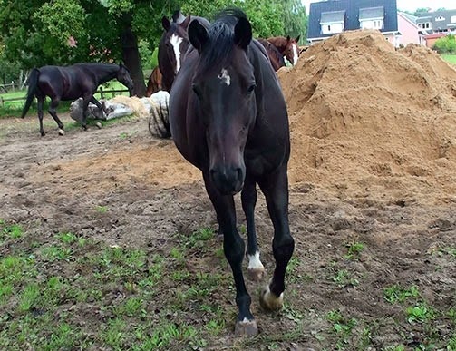 [20140911105813-%25288%2529%255B3%255D.jpg]