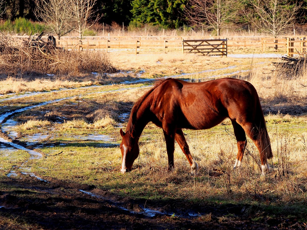 [9%2520Feb%252012%255B3%255D.jpg]