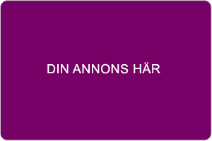 kontakta hitta auktion för mer information