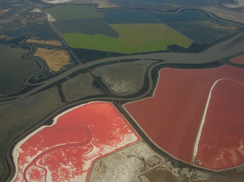 cargill-salt-ponds-3