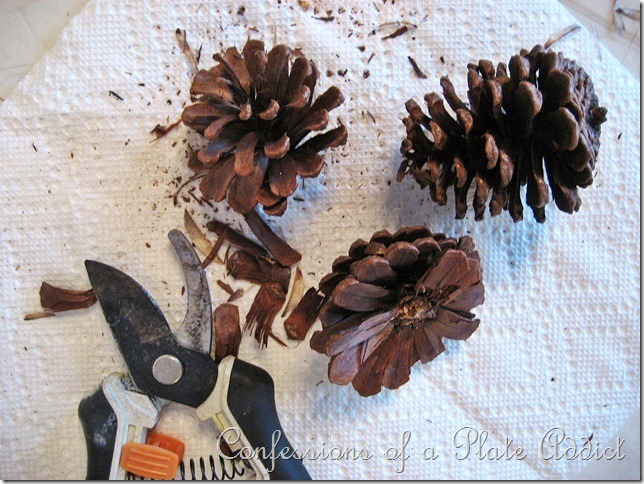 CONFESSIONS OF A PLATE ADDICT Pine Cone Roses CONFESSIONS OF A PLATE ADDICT Pinecone Roses