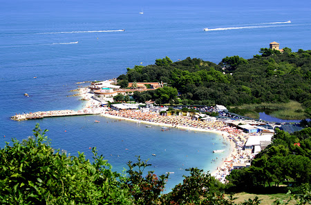 7. Ancona coasta.jpg