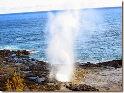 Copy of Spouting Horn