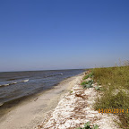 IMG_5674.JPG