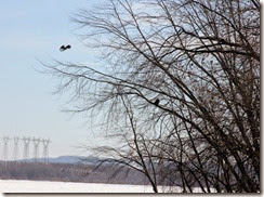 Susquehanna River, York Haven PA, by Sue Reno, image 6