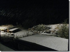 IMG_3947 IMG_3947