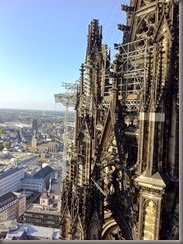 IMG_1312 IMG_1312