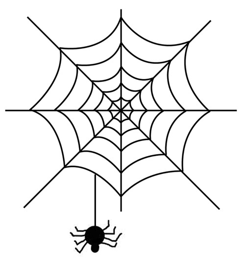Spider Web with Spider Spider Web with Spider
