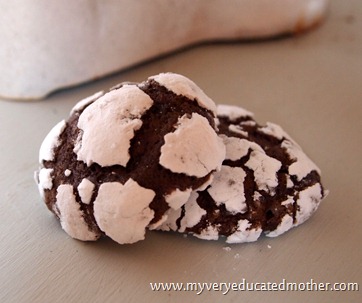 www.myveryeducatedmother.com Chocolate Crackle Cookies www.myveryeducatedmother.com Chocolate Crackle Cookies