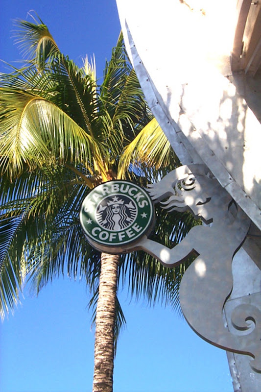 starbucks