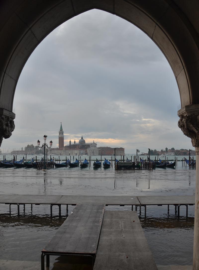DSC_2177.jpg DSC 2177