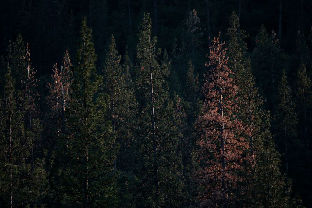 [image%255B15%255D.png]