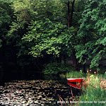 Red Boat on Pond.jpg