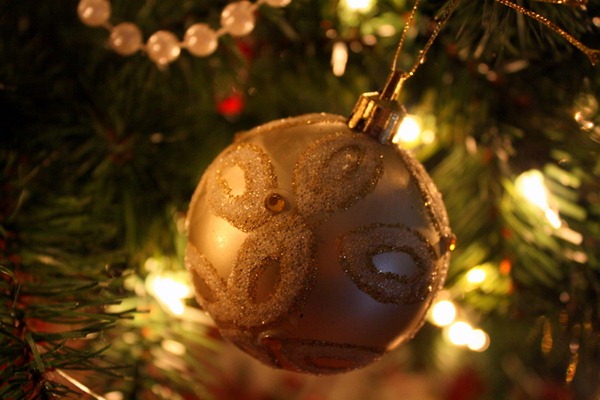 It's begining to look a lot like Christmas! (2011) 041
