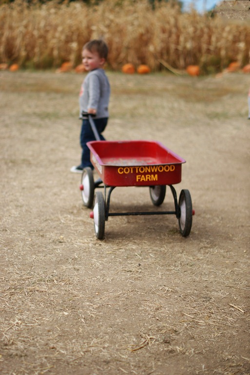 [DSC01154copy.jpg]