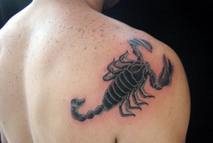 [tatuagem-de-escorpi%25C3%25A3o-300x202%255B4%255D.png]