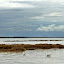 DSC_1075.JPG