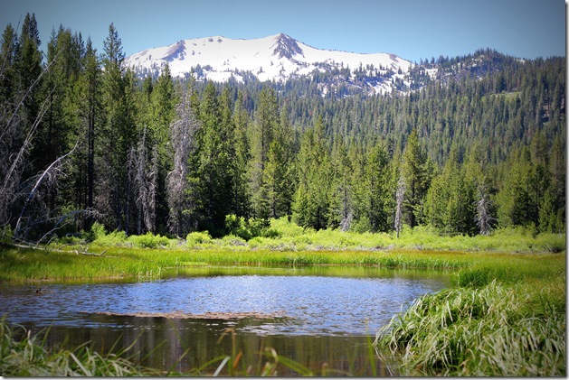 Mt Lassen 194