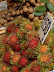 Rambutan at the market