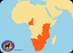 rhino_maps rhino_maps