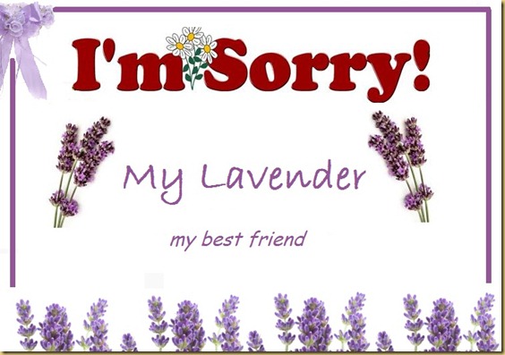 I'm-sorry